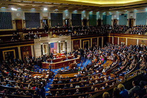 Congress Image